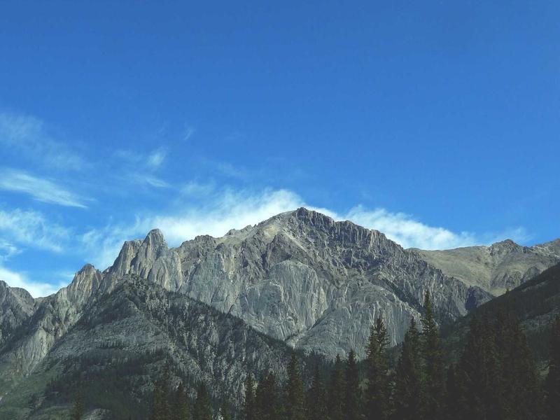 كاميرا كانون EOS R50