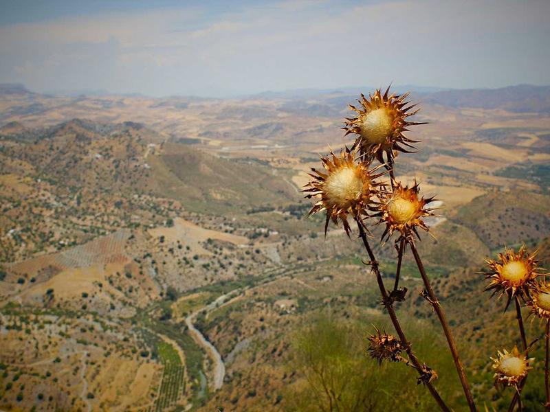 لابتوب ديل إنسبيرون 15