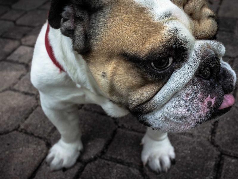 مكيف سبليت LG دواي 18000