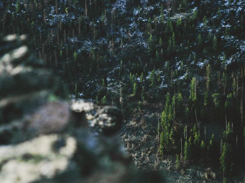 شاشة LG UltraWide 34 بوصة